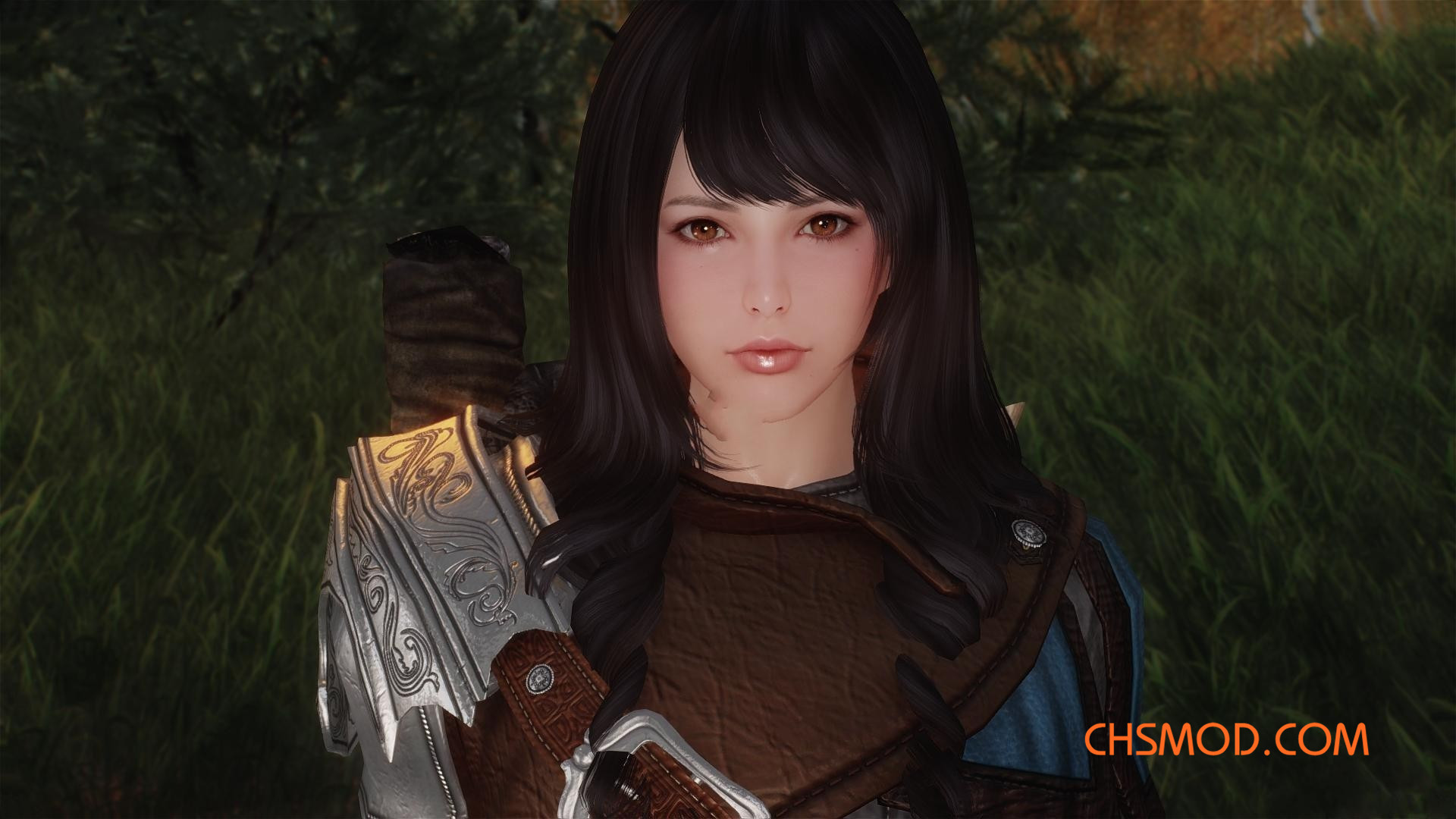 《上古卷轴5：天际》Lane 独立女随从MOD