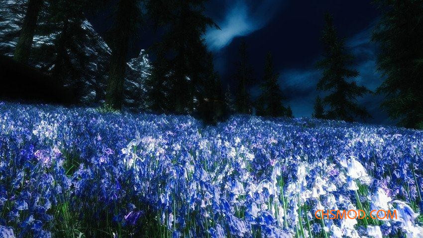 《上古卷轴5：天际》美丽壮观花田MOD