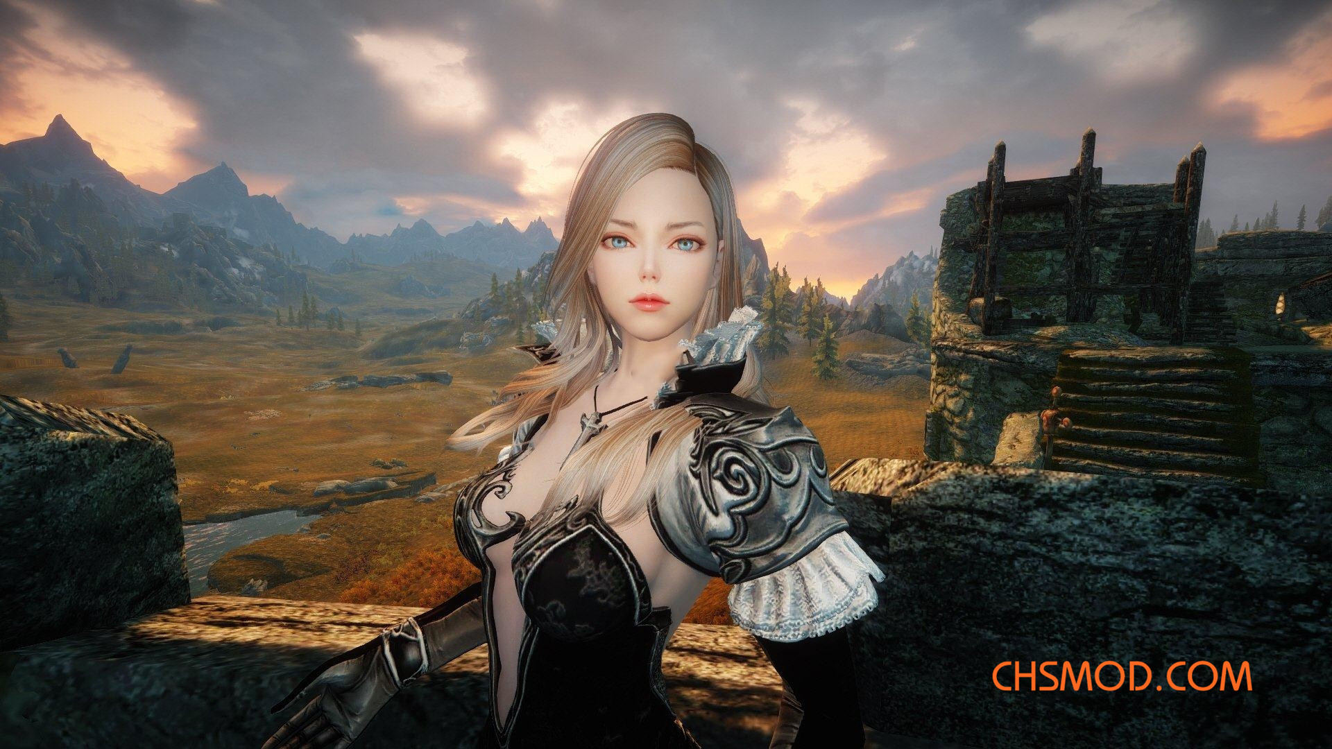 《上古卷轴5：天际》Vesta 随从MOD