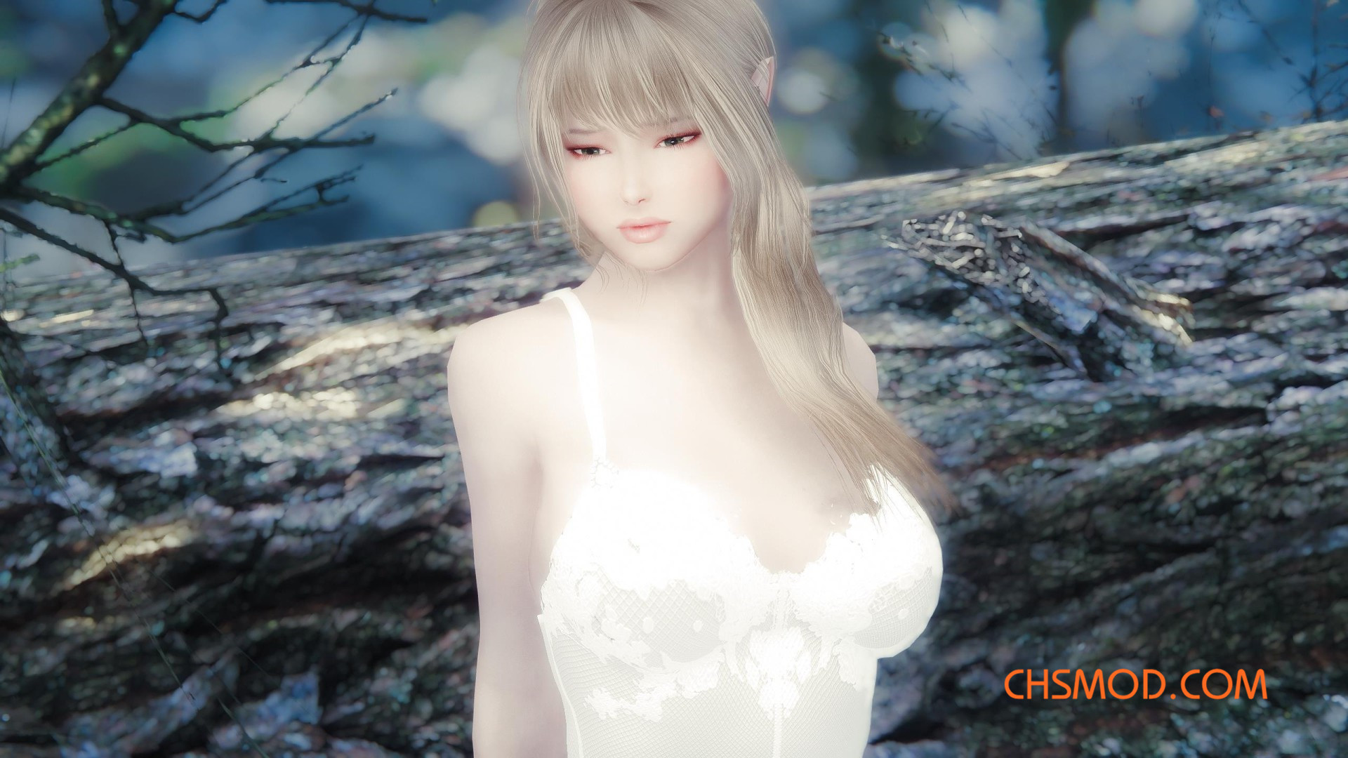 《上古卷轴5：天际》Aelesse 洁白美丽女性独立随从MOD
