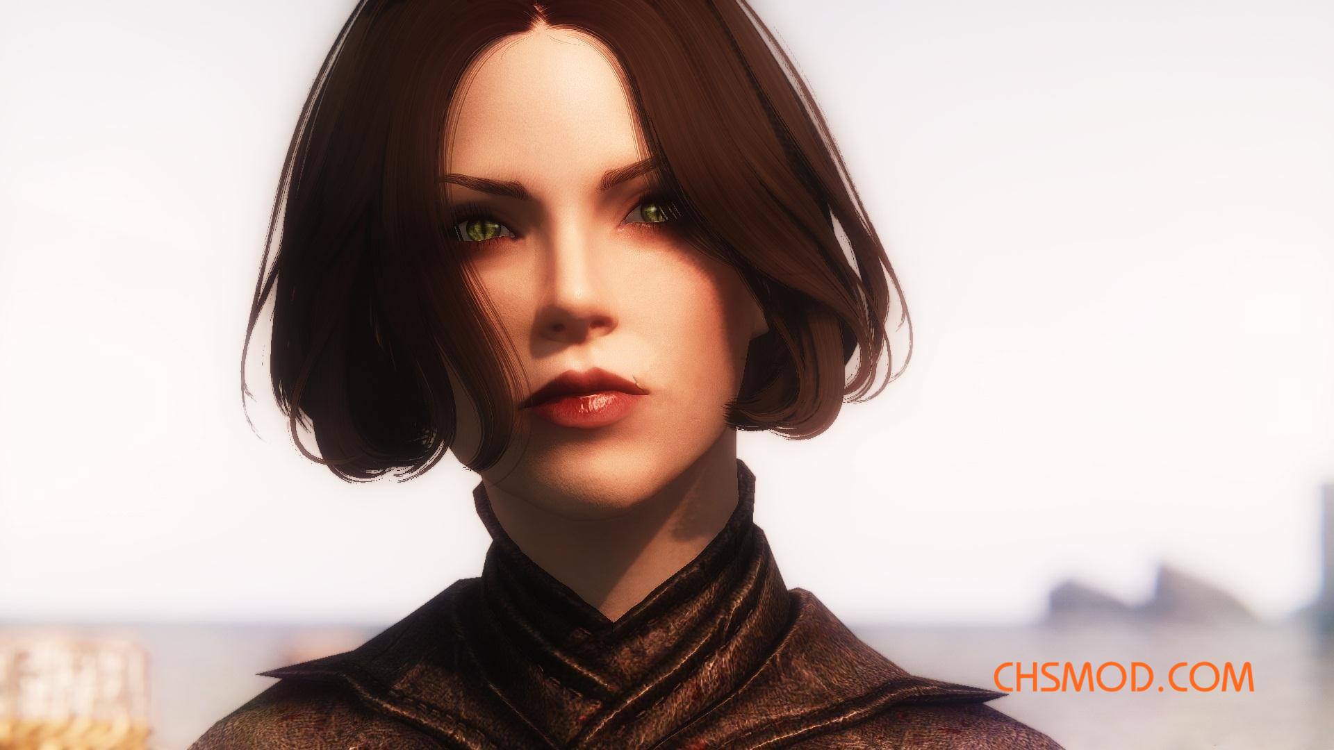 《上古卷轴5：天际》Serana 性感女性随从MOD