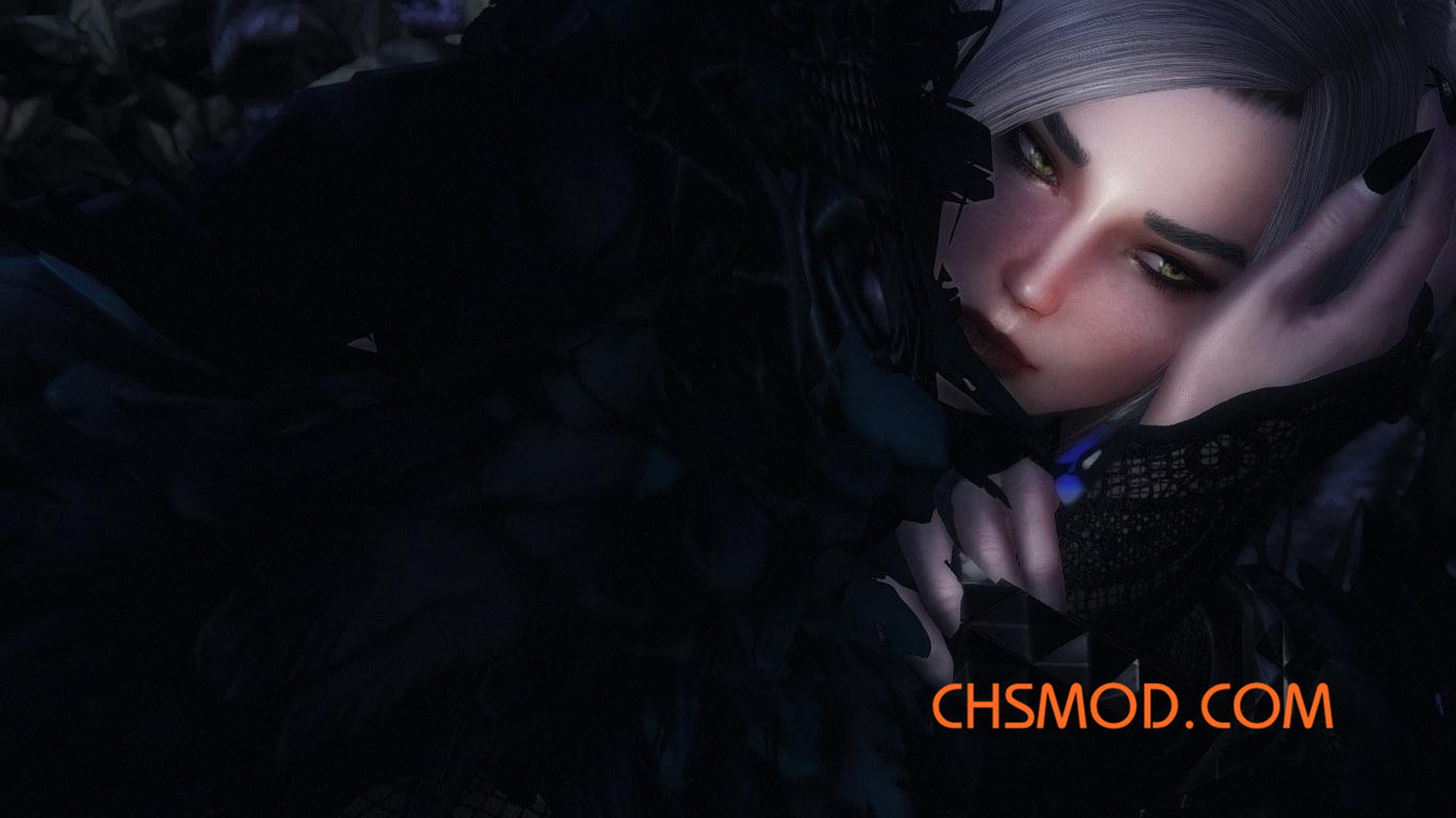 《上古卷轴5：天际》Tiss 黑暗召唤者女独立随从MOD