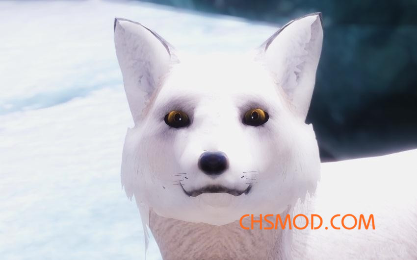《上古卷轴5：天际》可爱的狐狸MOD