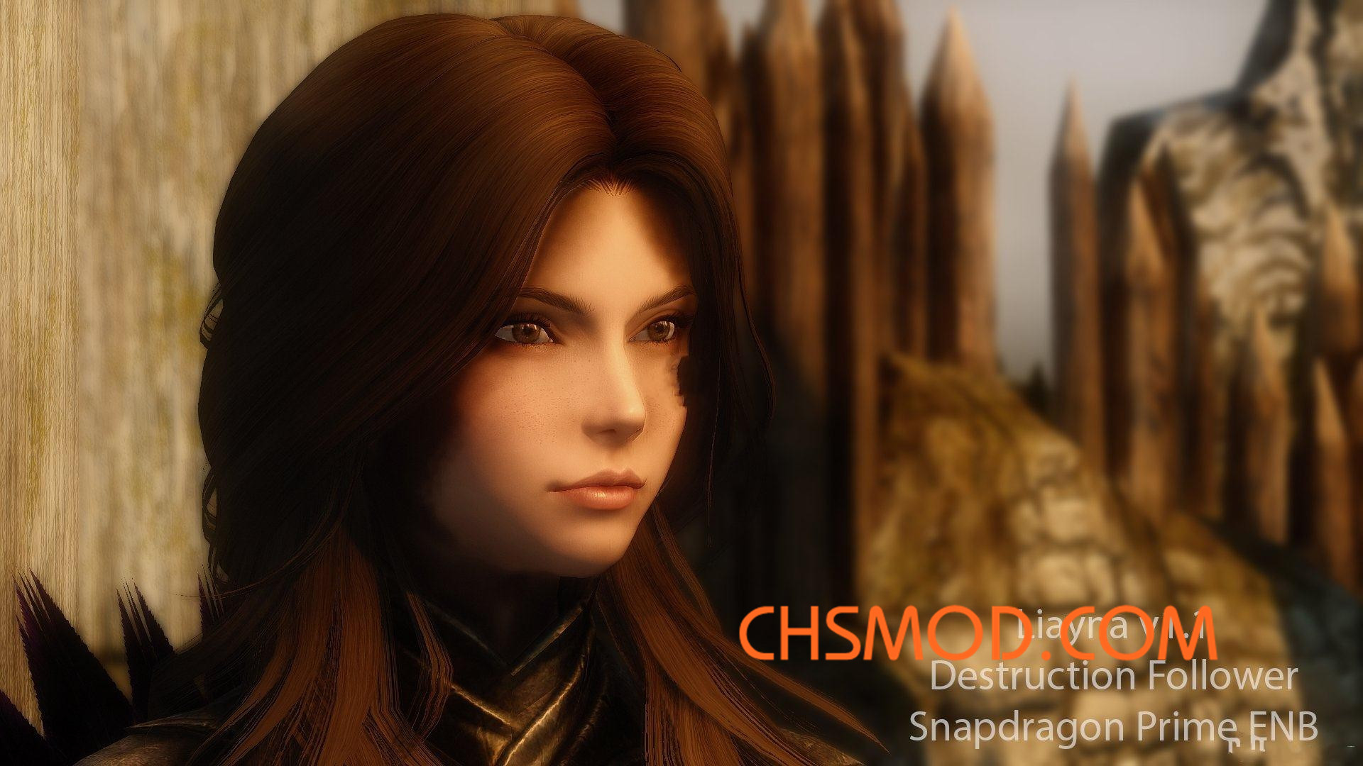 《上古卷轴5：天际》Liayna 随从MOD V1.1
