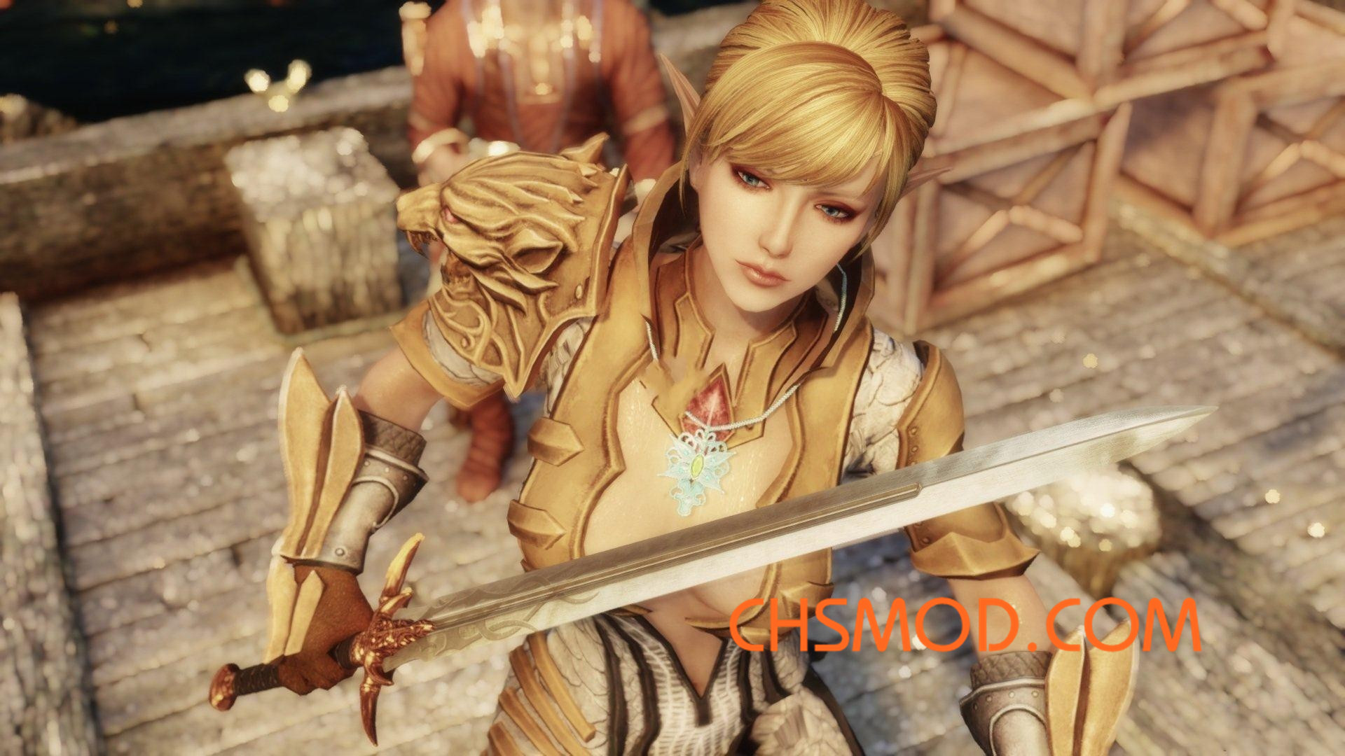 《上古卷轴5：天际》Dianest 美丽精灵女性随从MOD