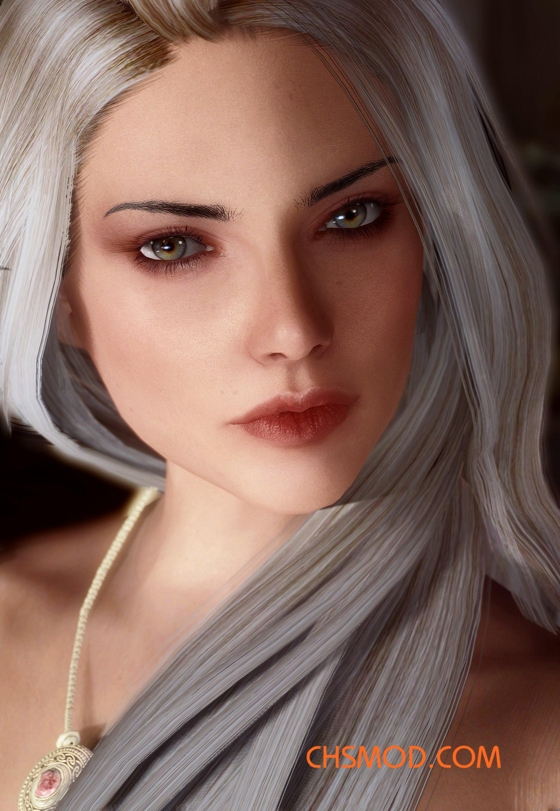 《上古卷轴5：天际》Vivace 女性随从MOD V1.1