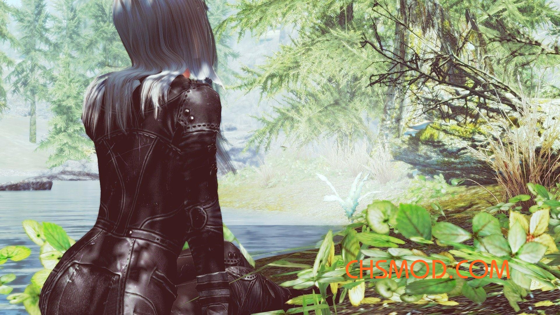 《上古卷轴5：天际》Eleresy 随从MOD