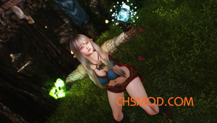 《上古卷轴5：天际》Lyshia 魔法师随从MOD