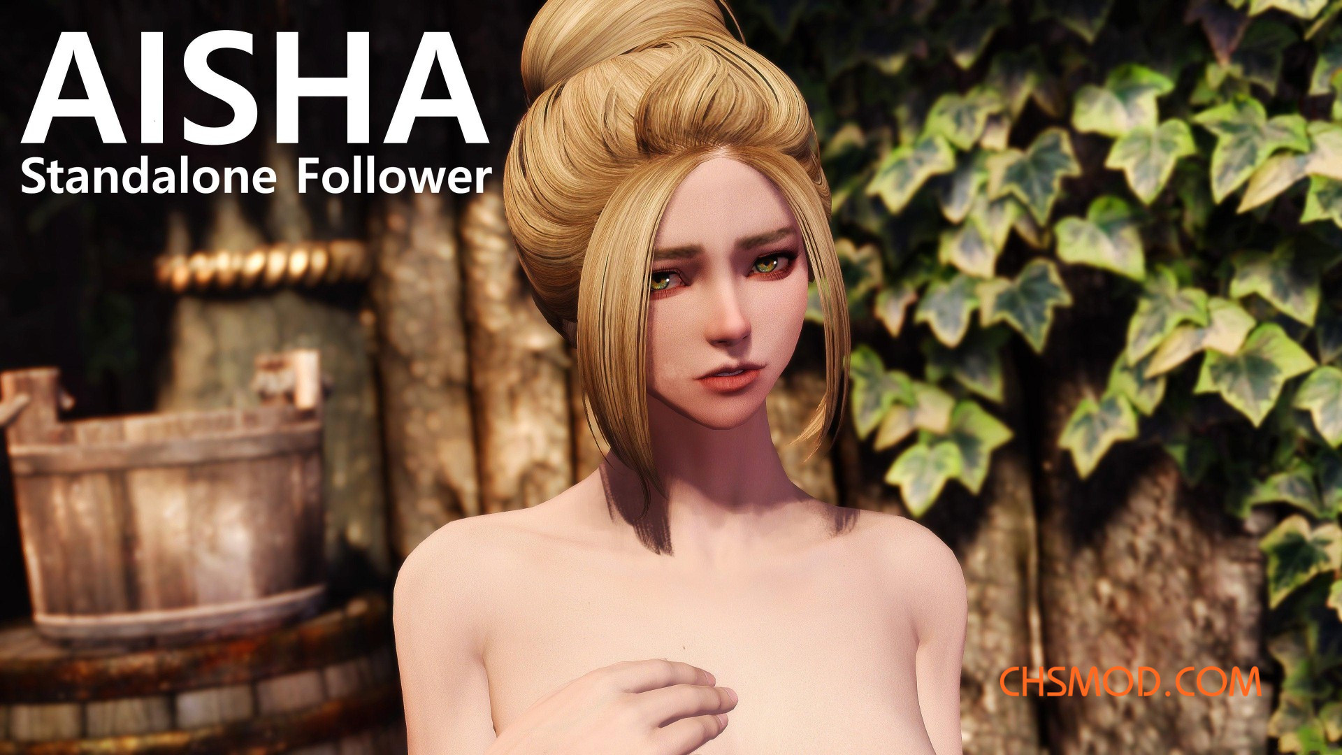 《上古卷轴5：天际》Aisha 性感女性独立随从MOD