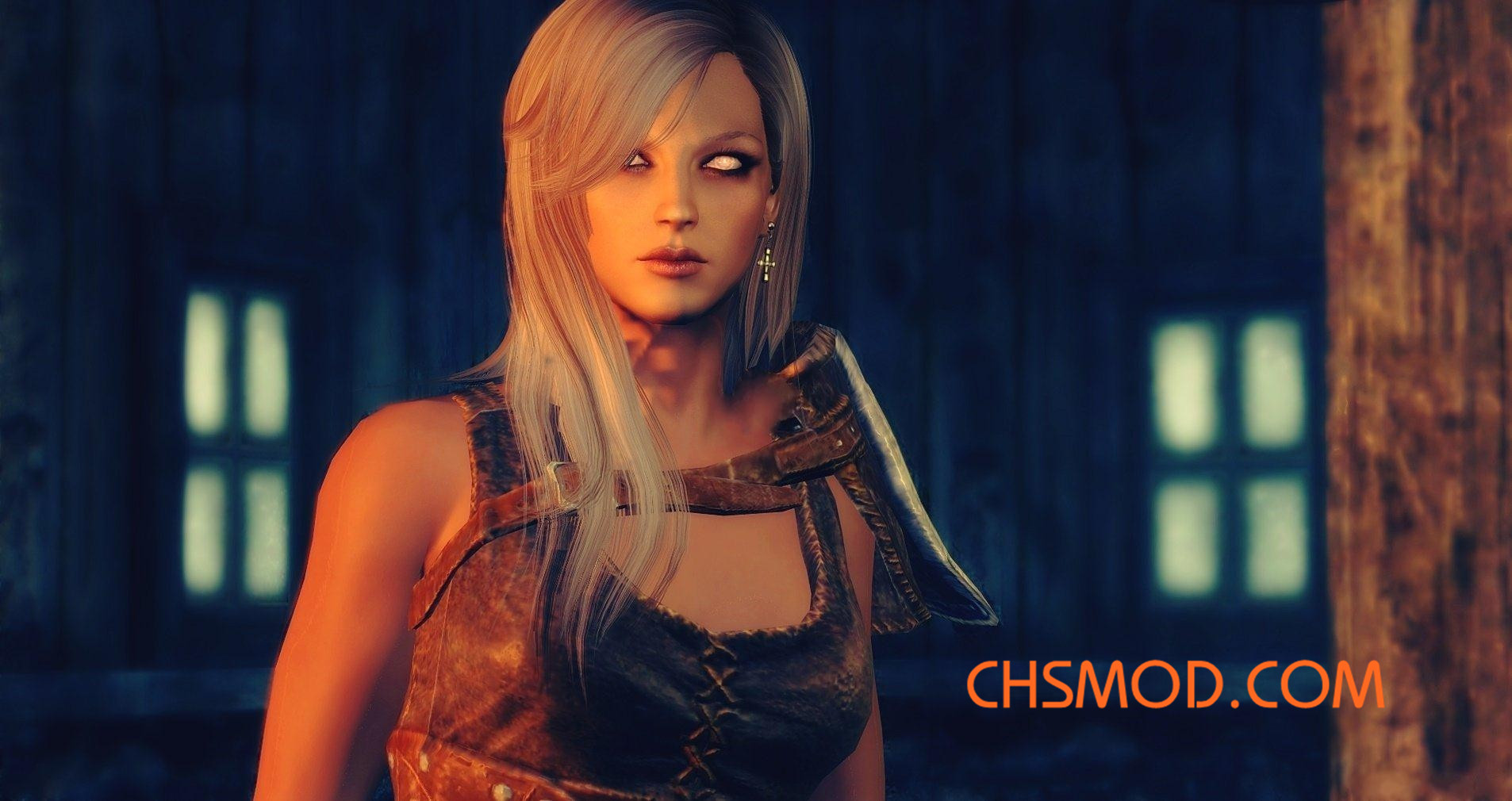 《上古卷轴5：天际》Eleresy 随从MOD