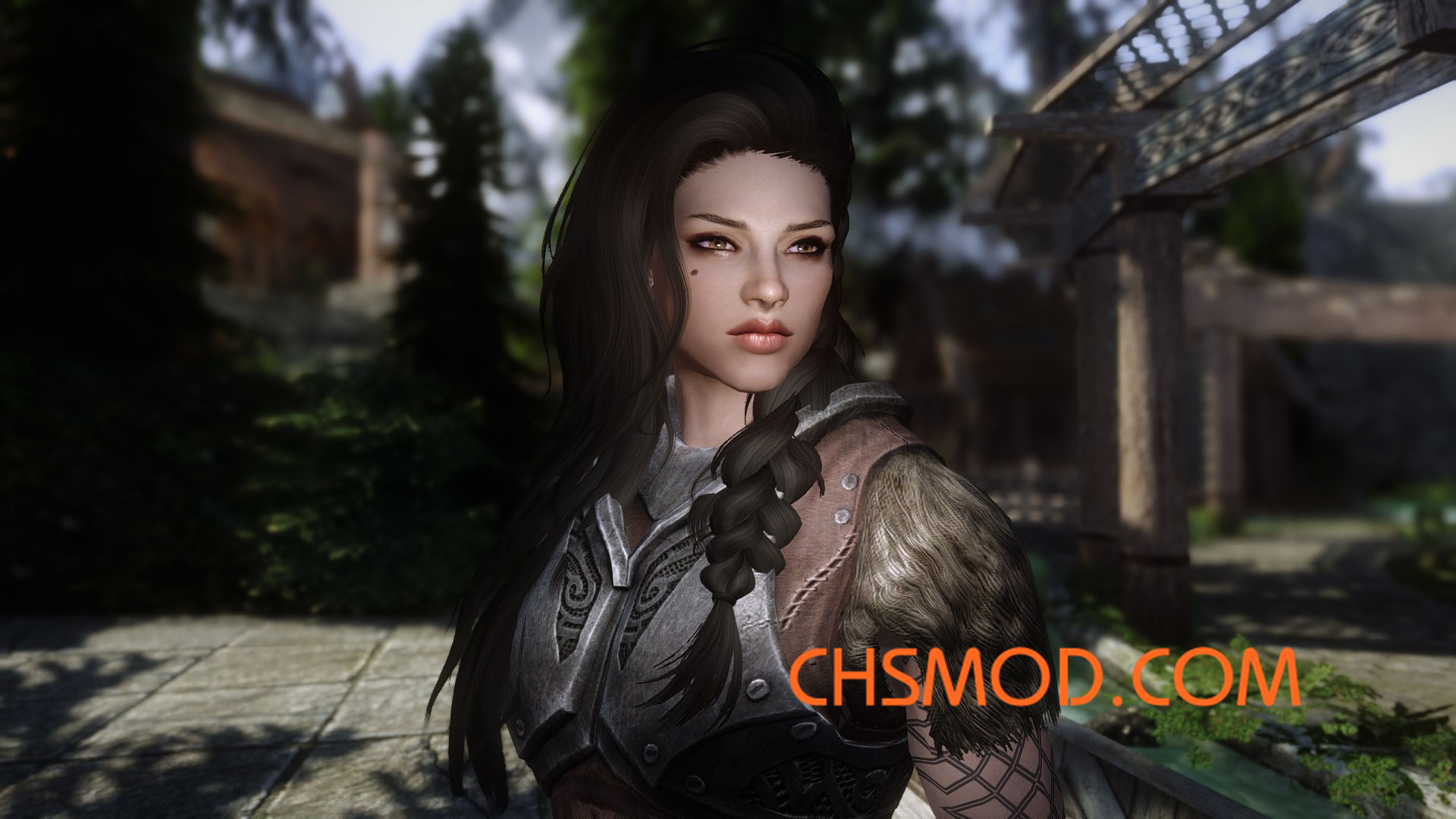 《上古卷轴5：天际》莱安娜替换 Lydia 随从MOD