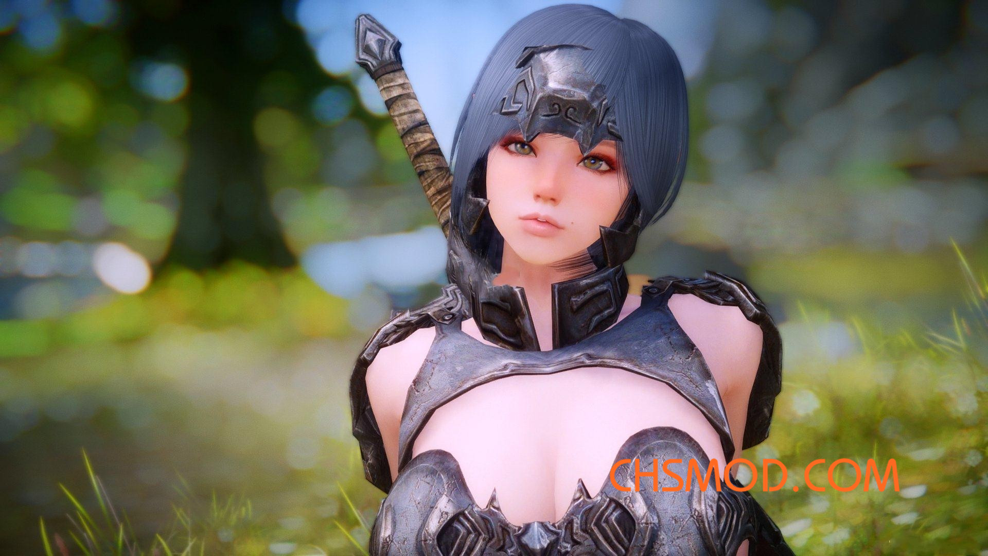 《上古卷轴5：天际》Brisa 随从MOD