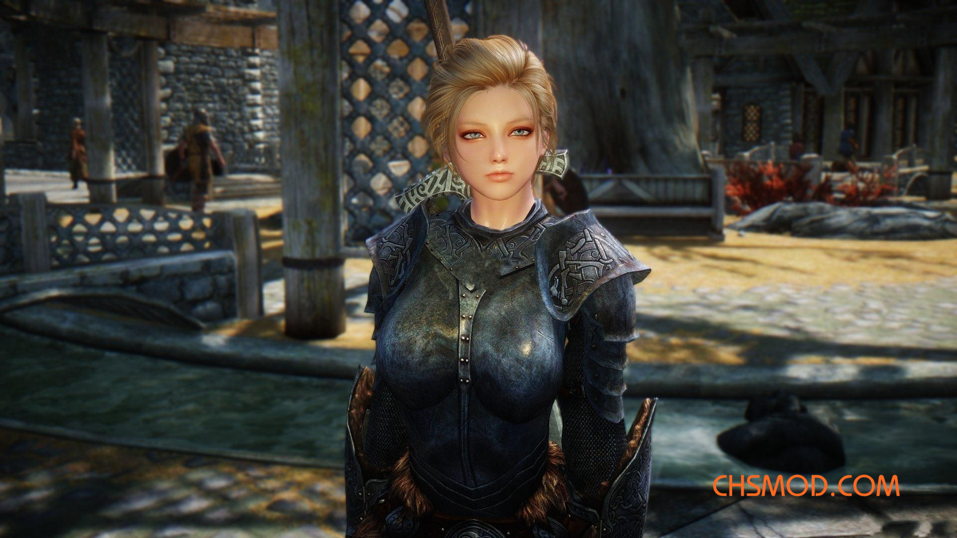 《上古卷轴5：天际》Brida 短发女战士随从MOD