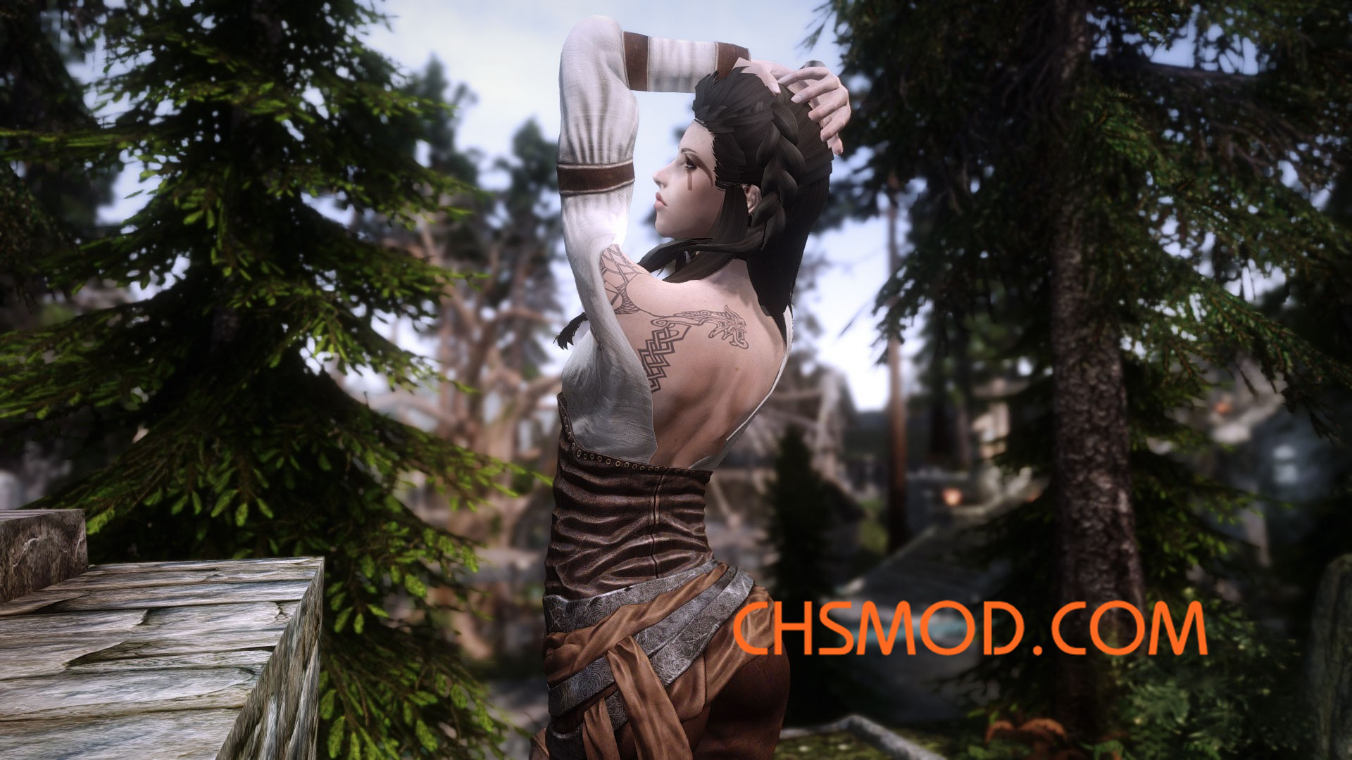 《上古卷轴5：天际》莱安娜替换 Lydia 随从MOD