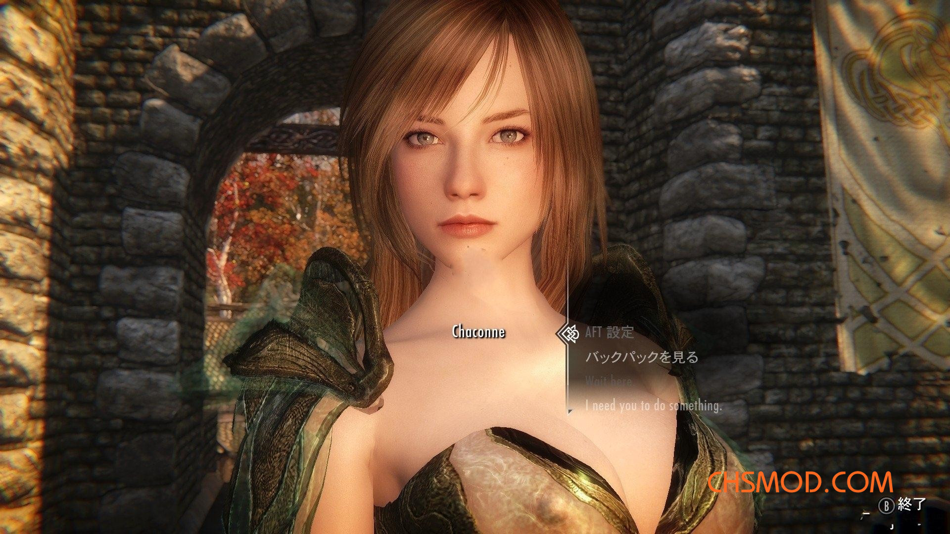 《上古卷轴5：天际》Chaconne 邻家小姐姐风格独立随从MOD