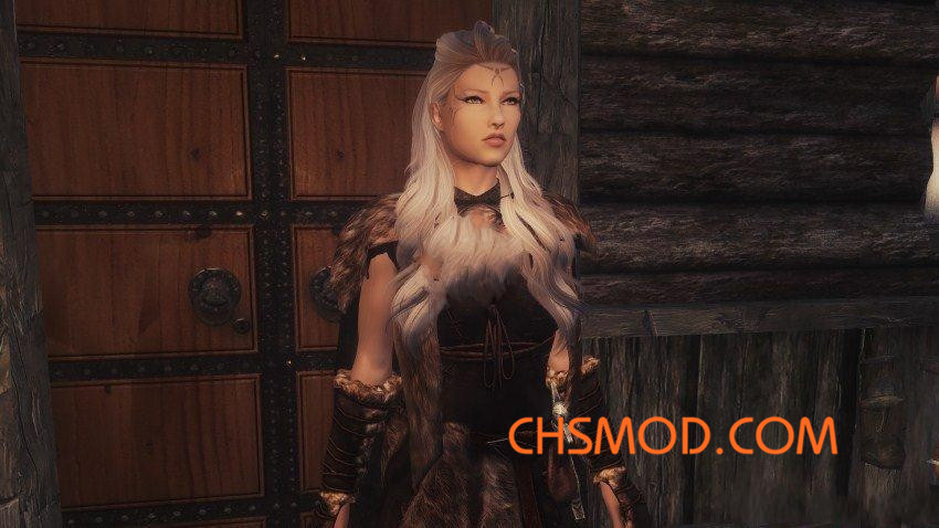 《上古卷轴5：天际》Elena 银发高冷系女性独立随从MOD
