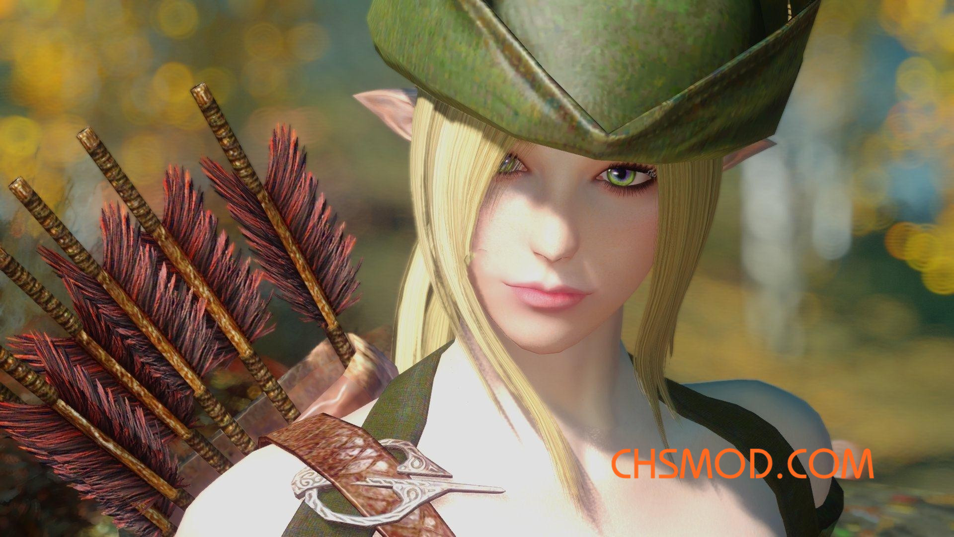 《上古卷轴5：天际》Evelyn 半精灵女独立随从MOD