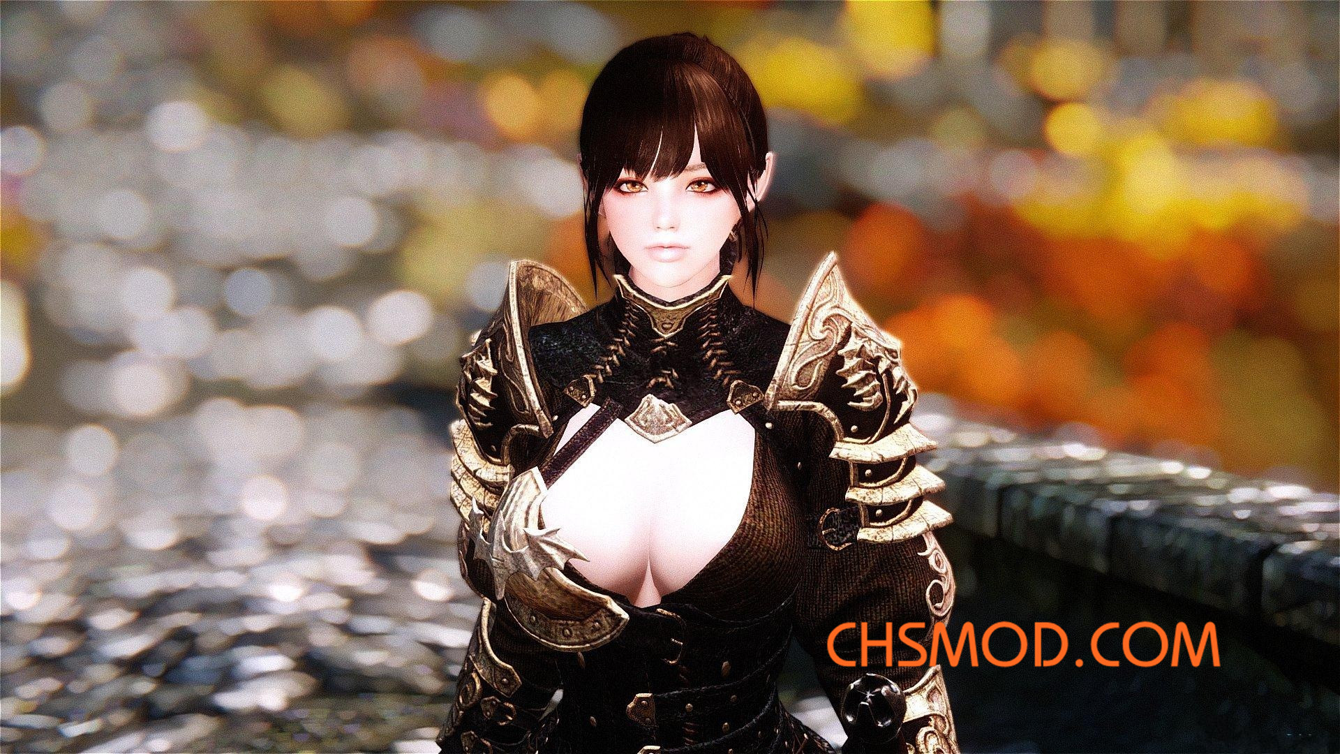 《上古卷轴5：天际》Kassia 随从MOD