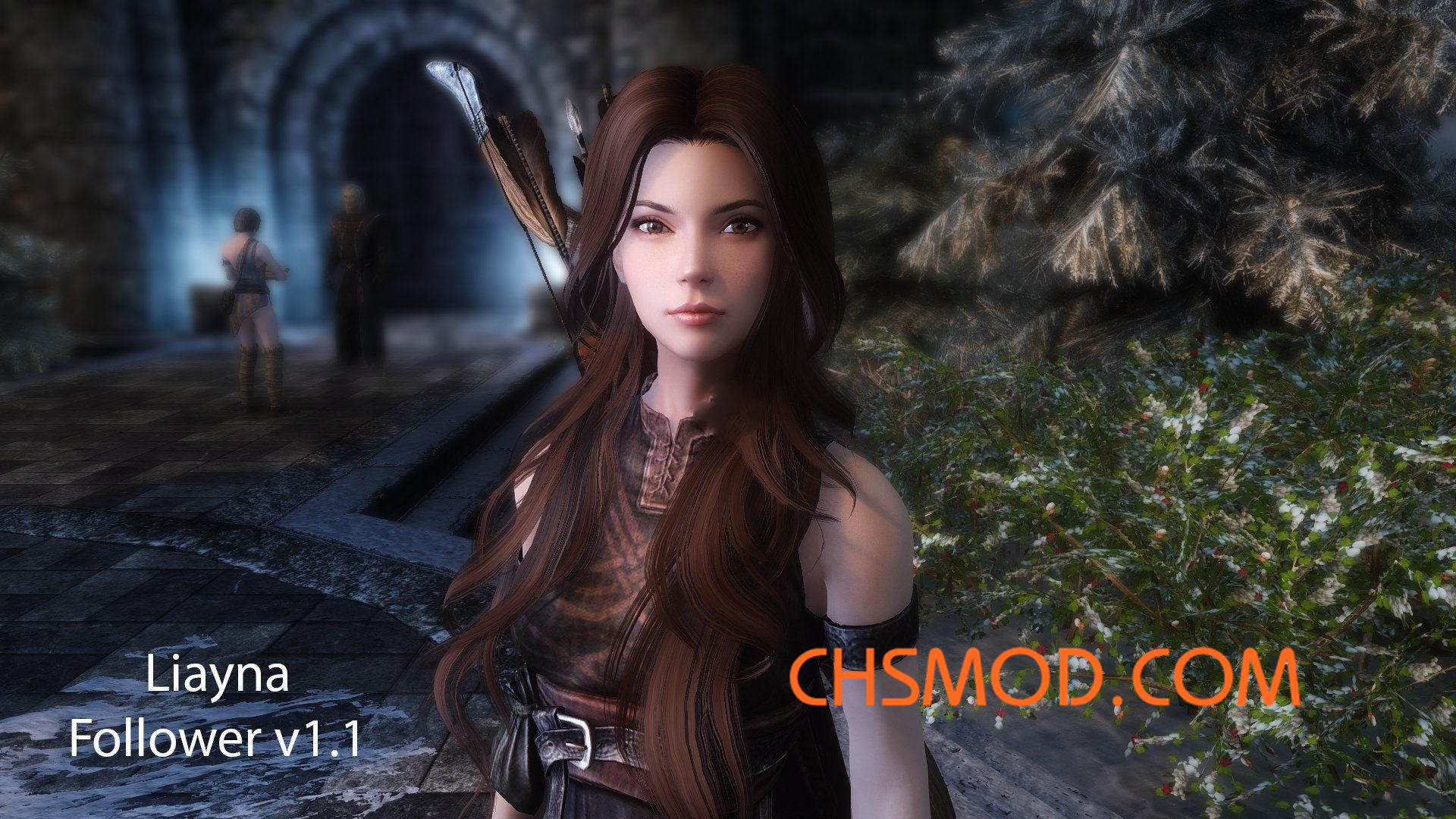 《上古卷轴5：天际》Liayna 随从MOD V1.1