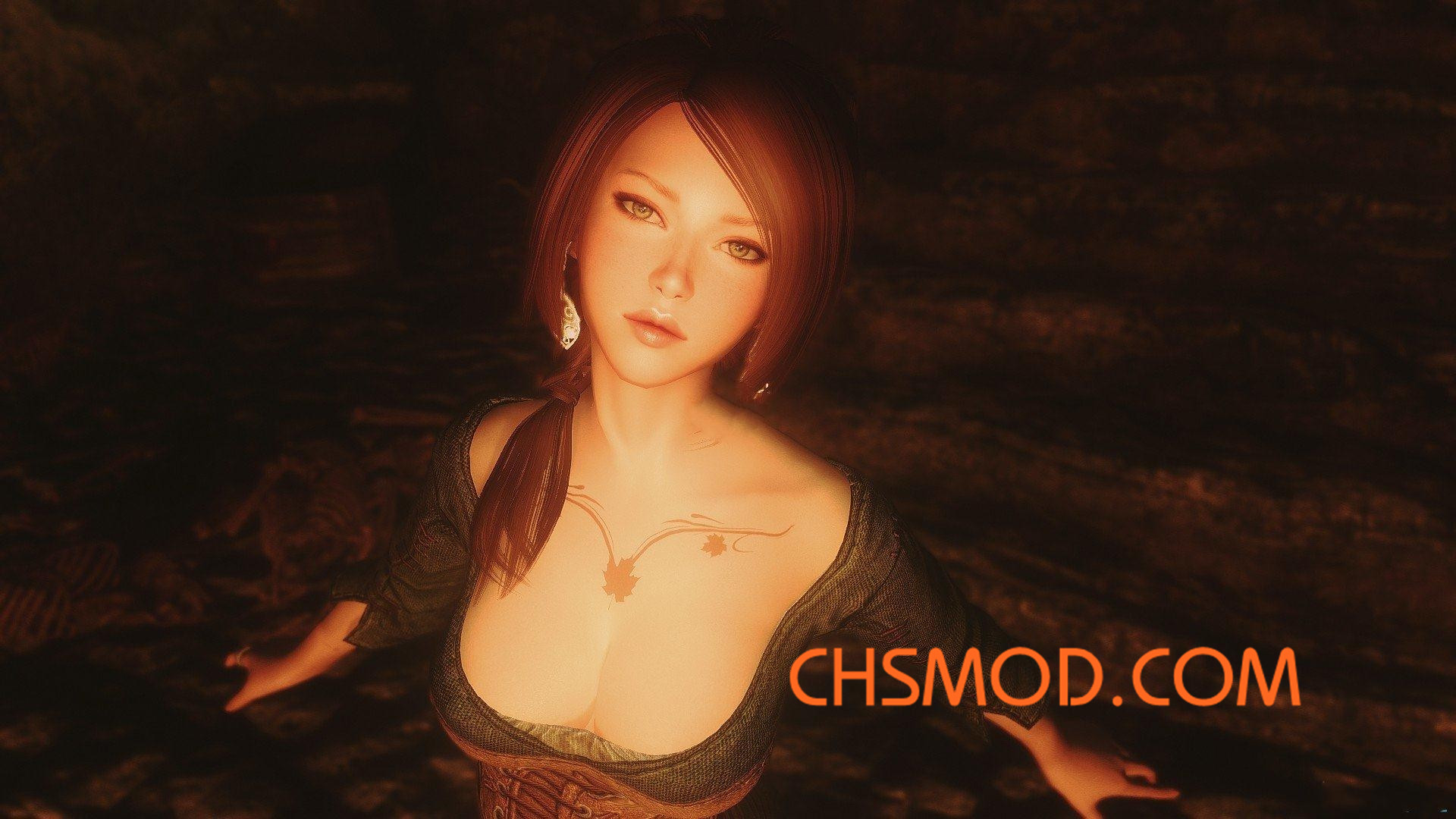 《上古卷轴5：天际》Amelia 随从MOD