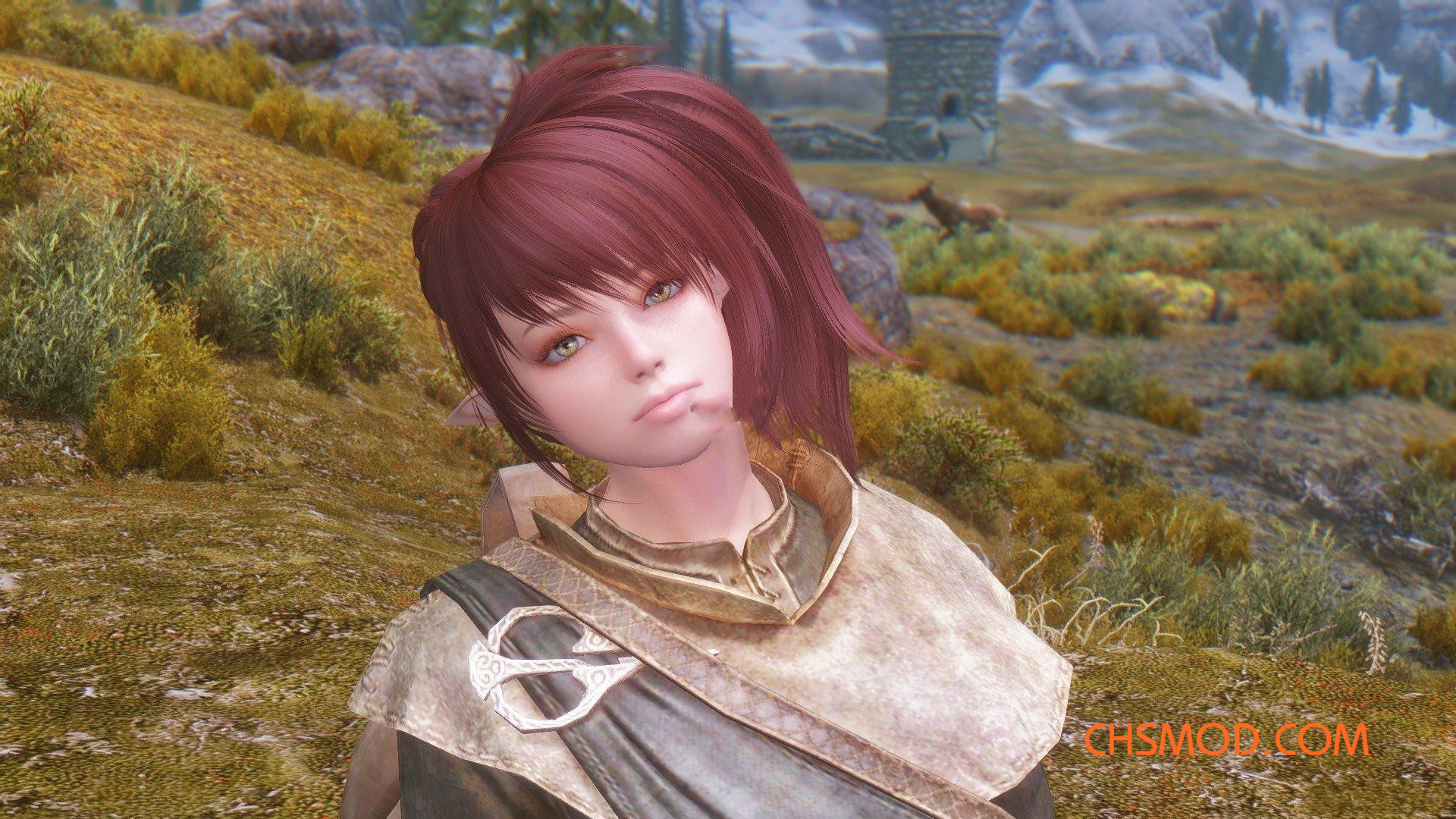 《上古卷轴5：天际》Kaine 随从MOD V1.6