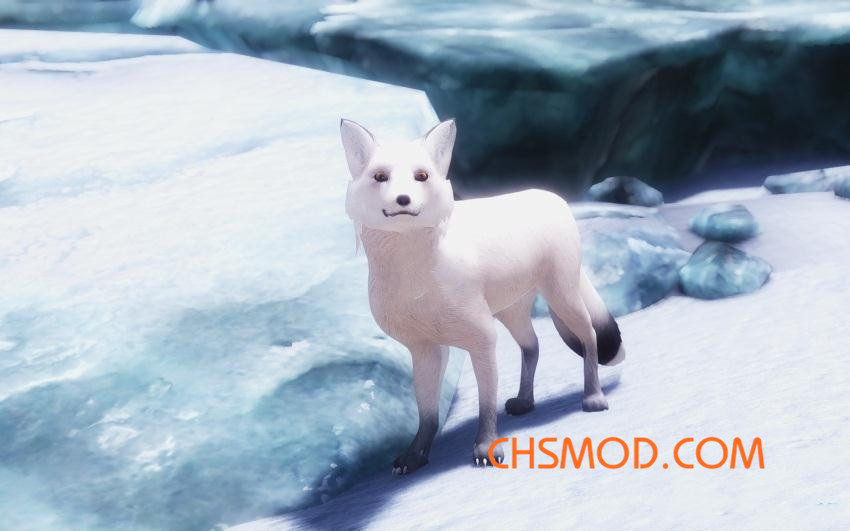《上古卷轴5：天际》可爱的狐狸MOD
