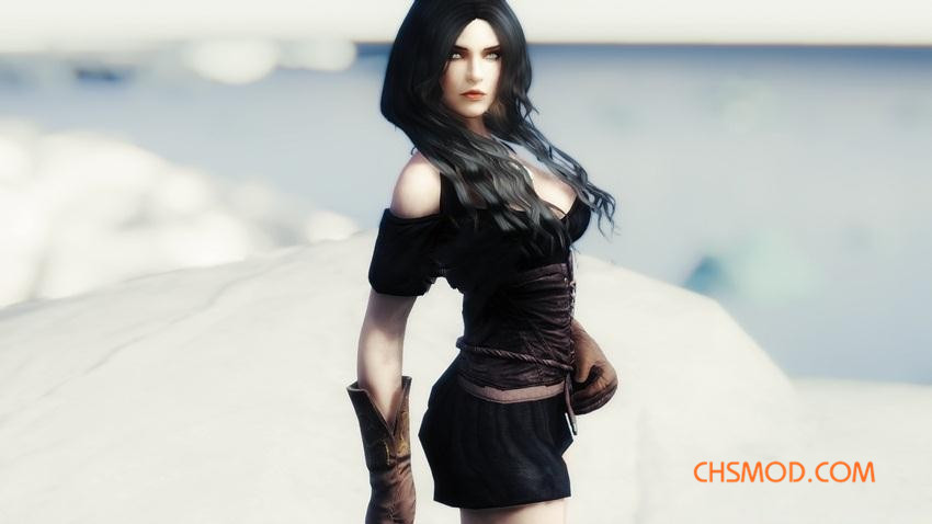 《上古卷轴5：天际》Mary 随从MOD