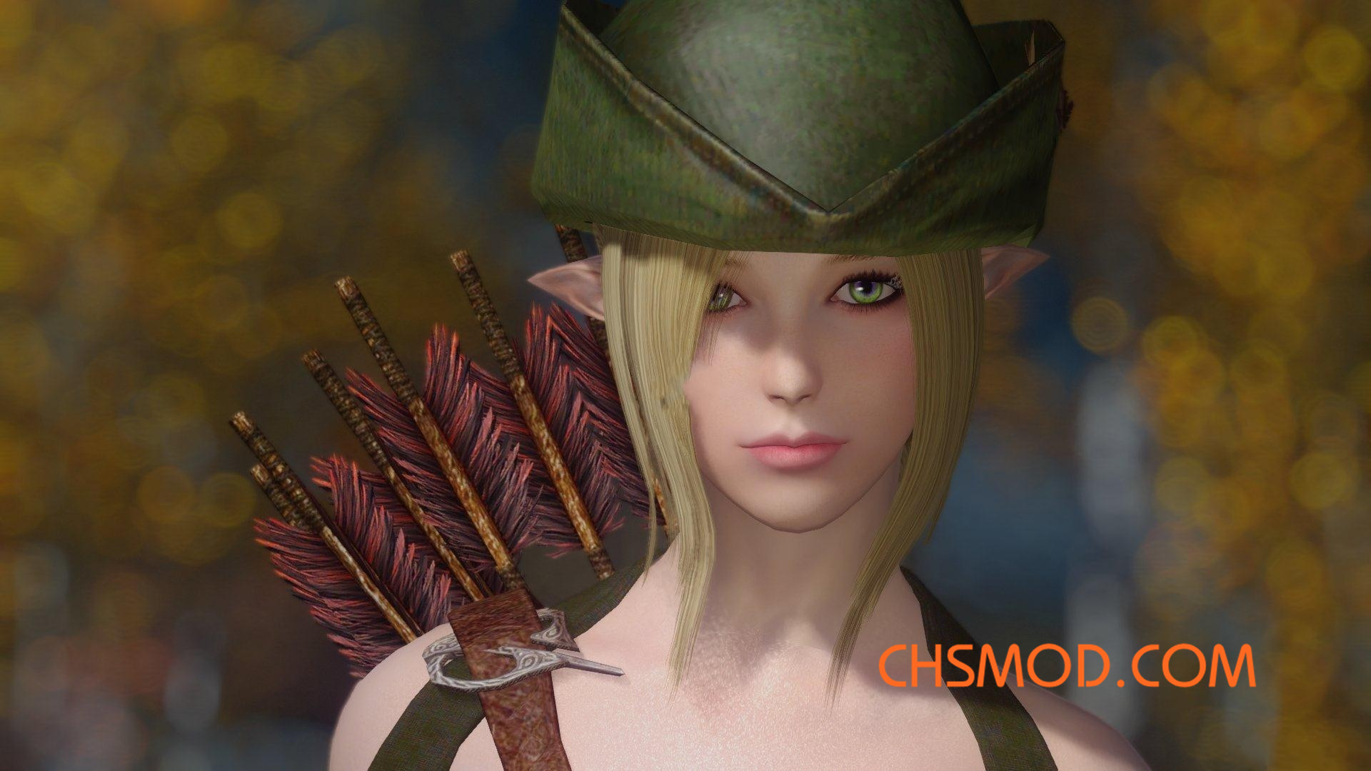 《上古卷轴5：天际》Evelyn 半精灵女独立随从MOD