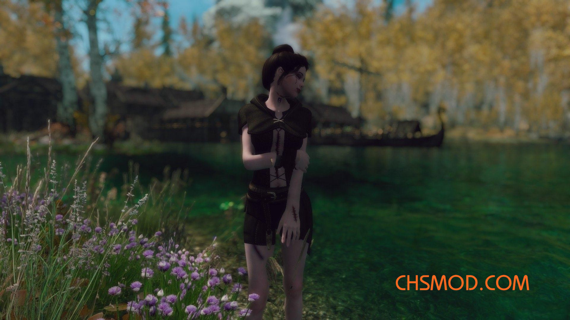 《上古卷轴5：天际》Cressida 受诅咒的女性随从MOD