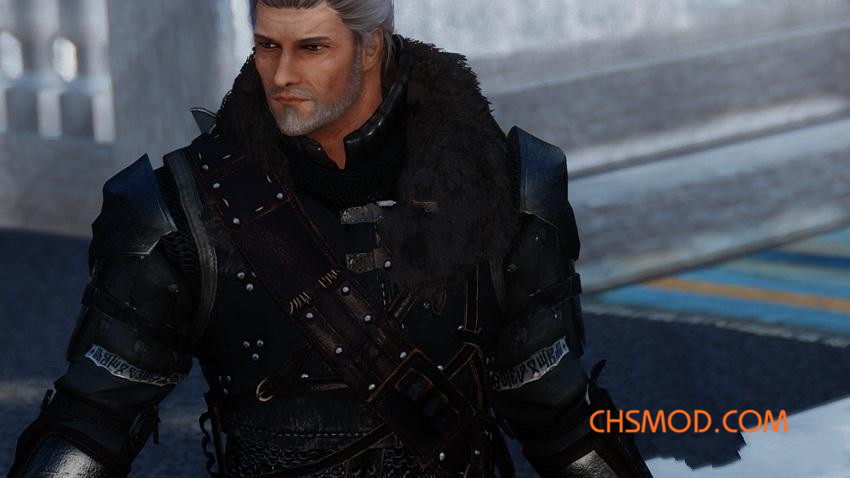 《上古卷轴5：天际》Hawk 神似卡德加男性随从MOD