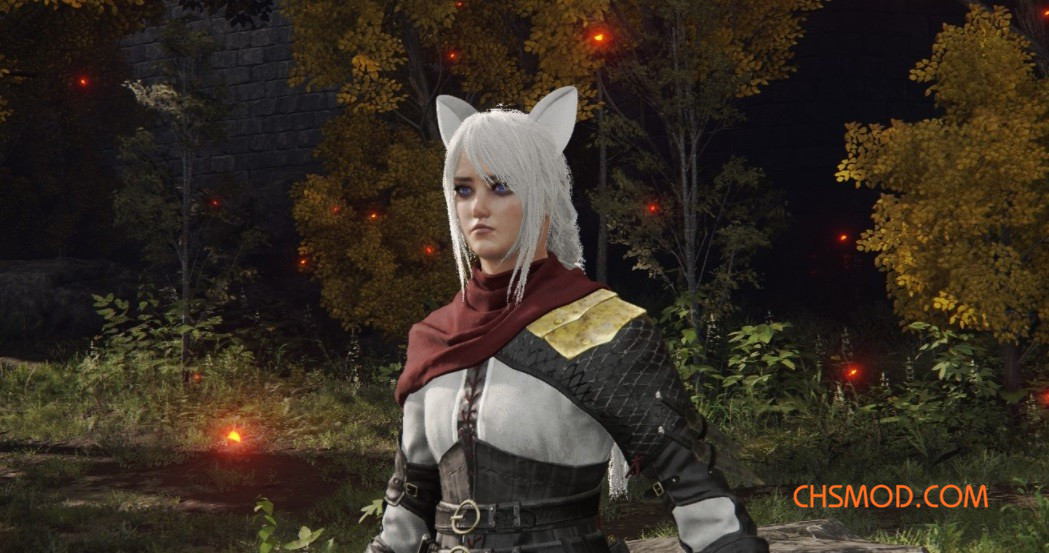 《艾尔登法环》多款可爱猫耳朵替换两种头盔MOD