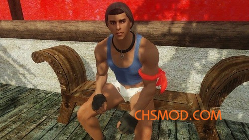 《上古卷轴5：天际》小狗眼睛的拳击手追随者MOD