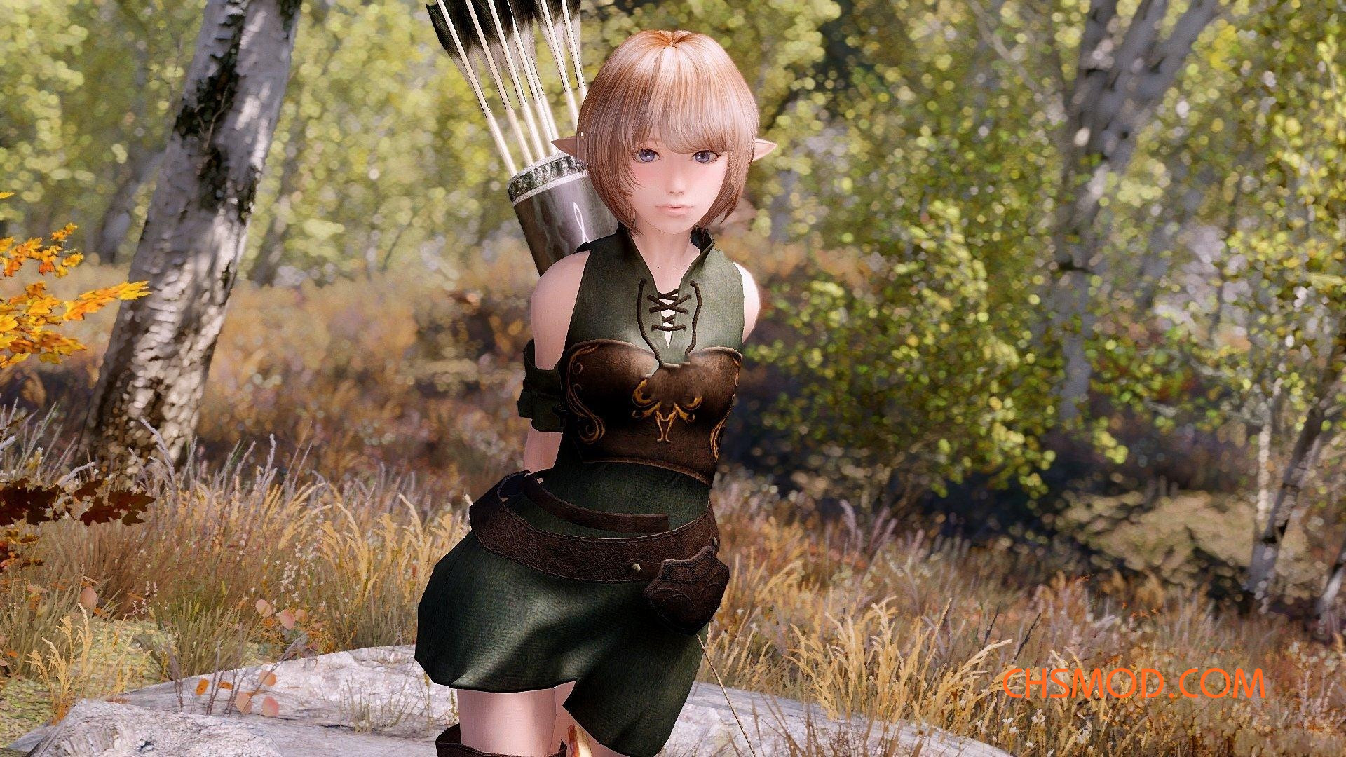 《上古卷轴5：天际》Hana 随从MOD