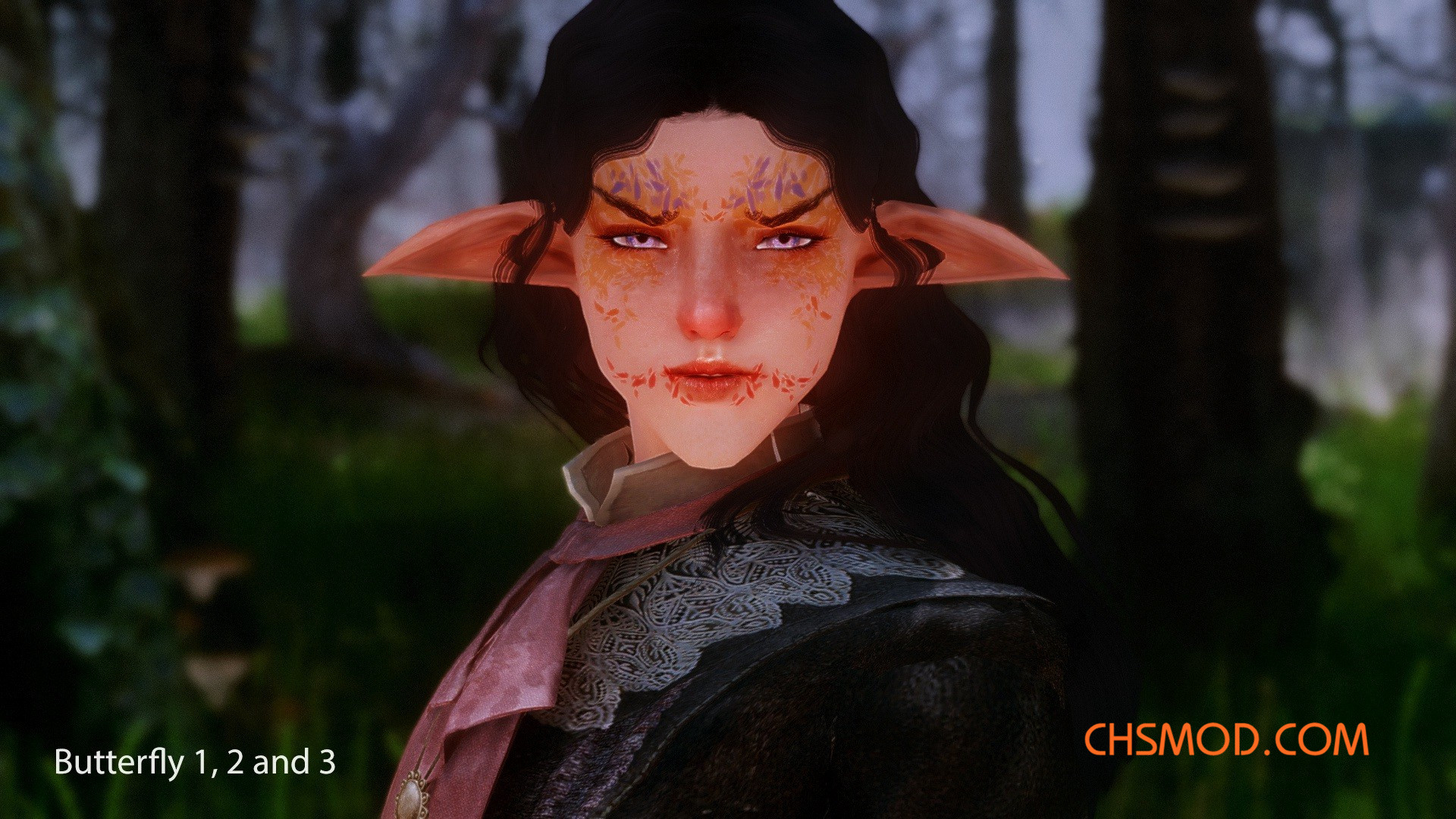 《上古卷轴5：天际》全新战旗漆MOD