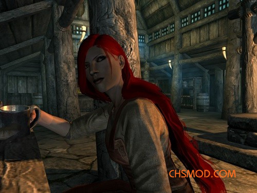 《上古卷轴5：天际》7个新的 NPC 追随者MOD