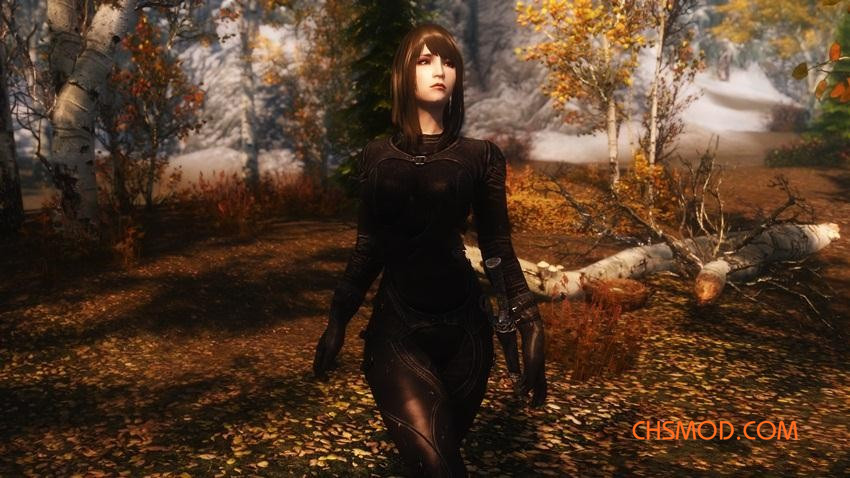 《上古卷轴5：天际》Mion 随从MOD