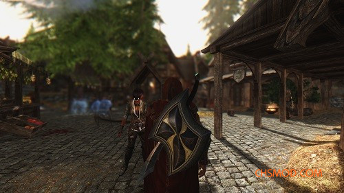 《上古卷轴5：天际》疯狂的披风盾牌补丁MOD