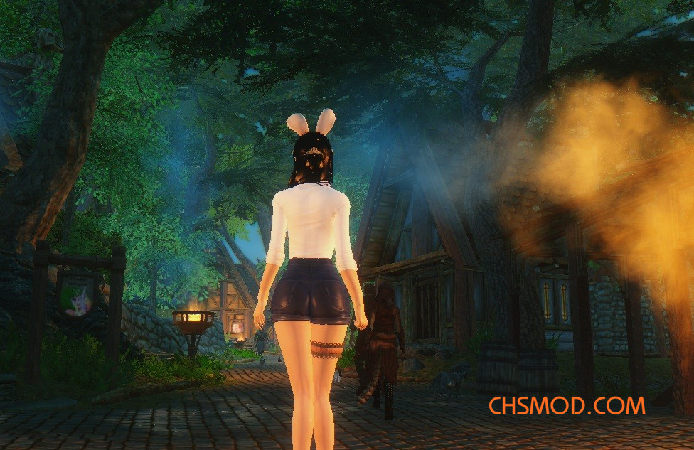 《上古卷轴5：天际》光照修正MOD