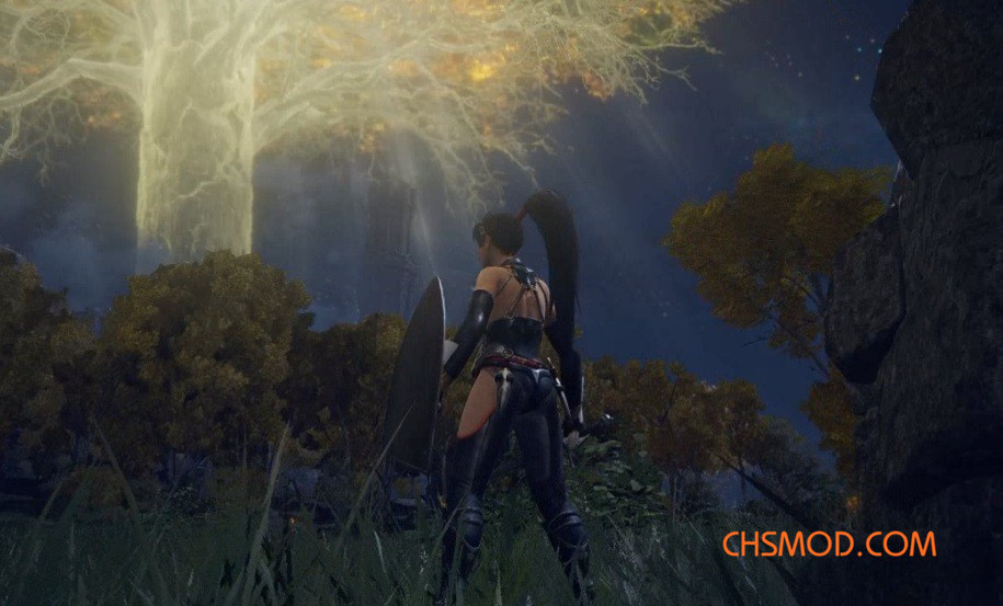 《艾尔登法环》忍龙女忍者替换流浪骑士MOD