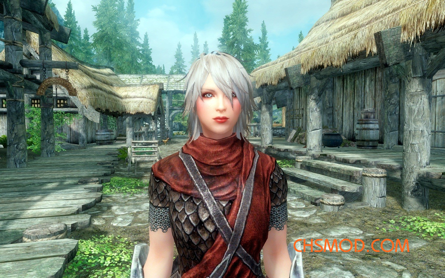 《上古卷轴5：天际》安妮双武器女性随从MOD