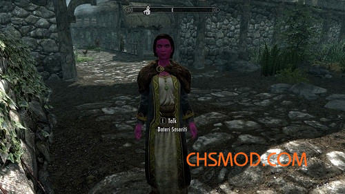 《上古卷轴5：天际》迪贝拉和玛拉的女儿追随者MOD