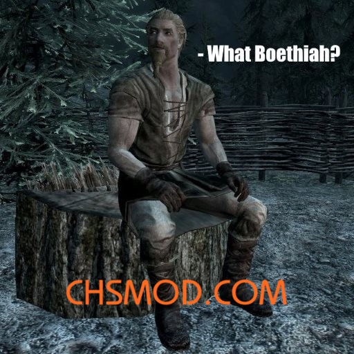 《上古卷轴5：天际》追随者不受约束MOD