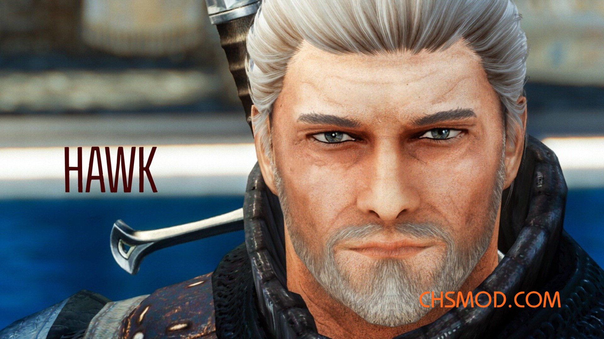 《上古卷轴5：天际》Hawk 神似卡德加男性随从MOD