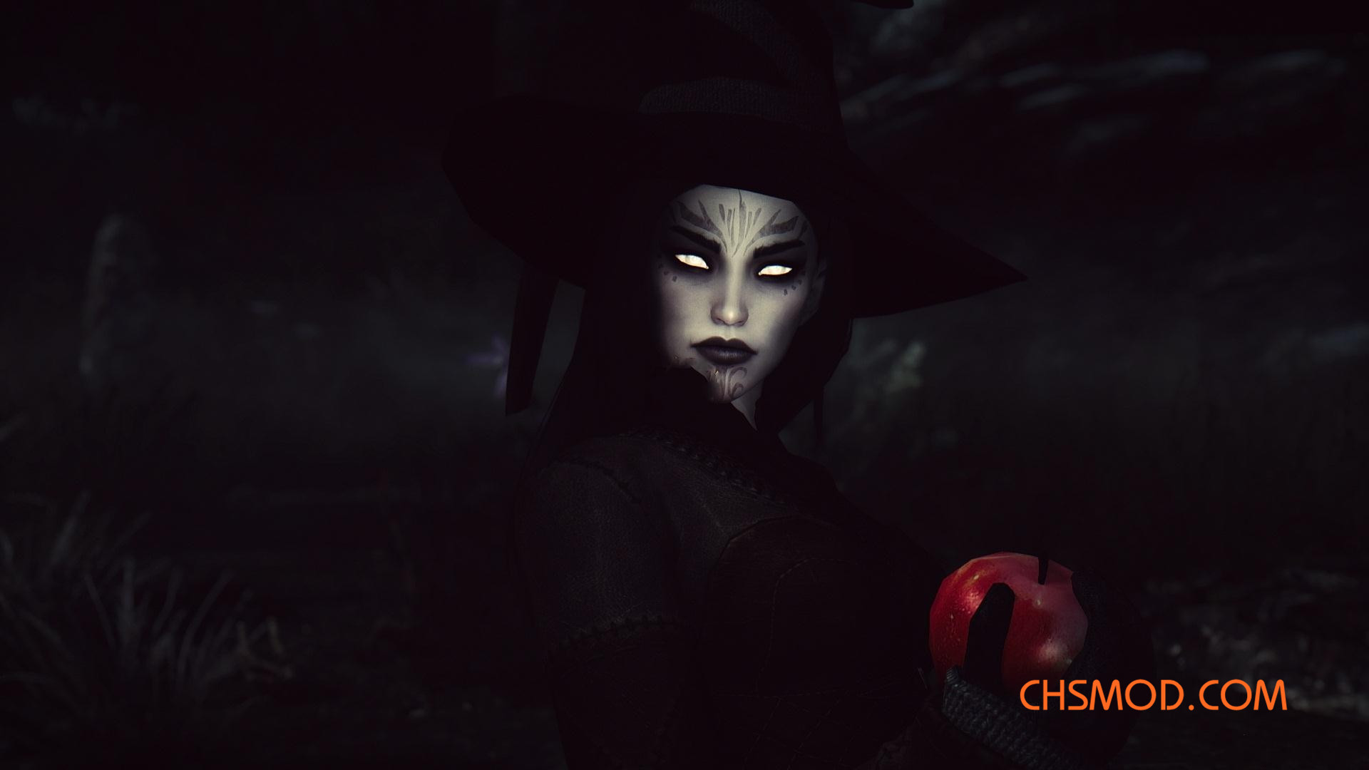 《上古卷轴5：天际》Xavira 随从MOD