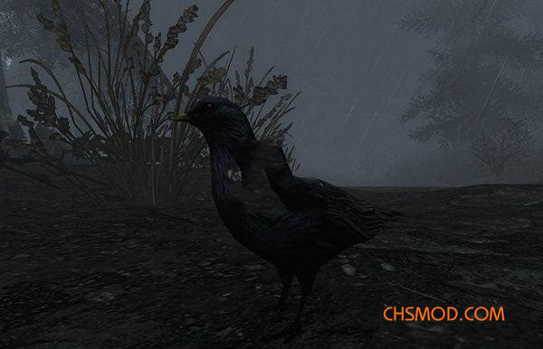 《上古卷轴5：天际》许多鸟类MOD