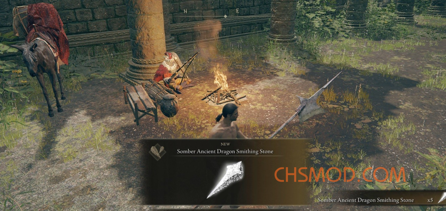 《艾尔登法环》随机探索地图随机生成各种物品MOD