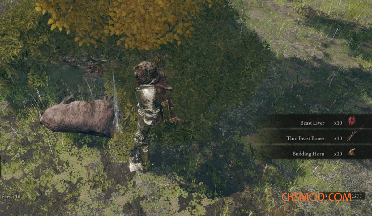 《艾尔登法环》更好的采集和狩猎MOD