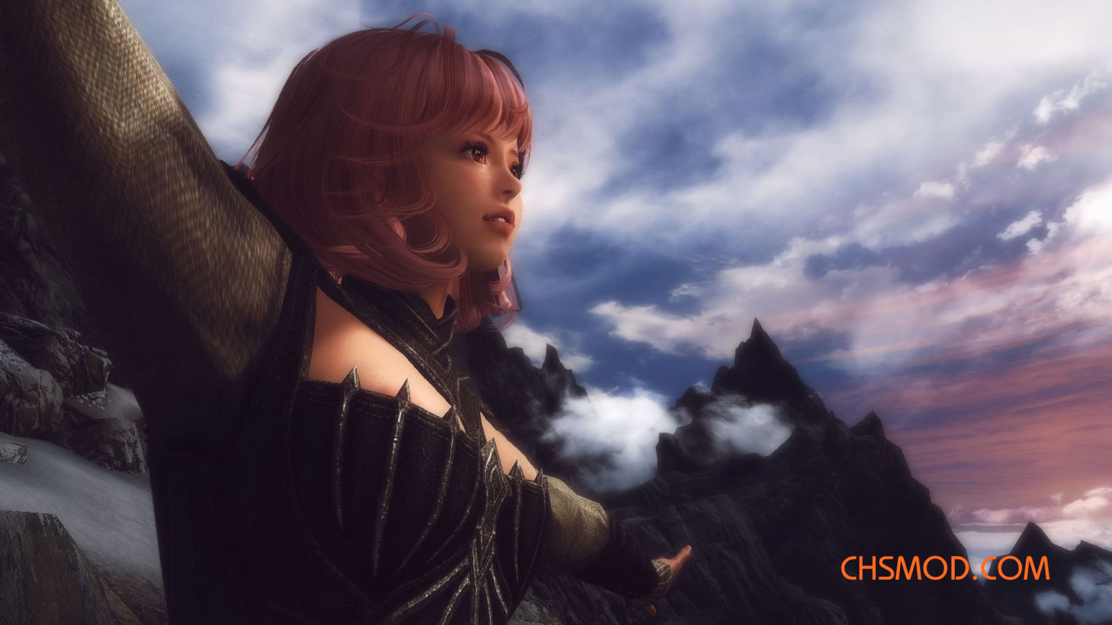 《上古卷轴5：天际》独立美女随从Lilym MOD