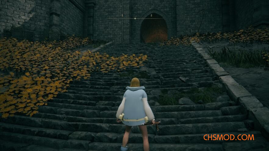 《艾尔登法环》罪恶装备布里吉特服装MOD