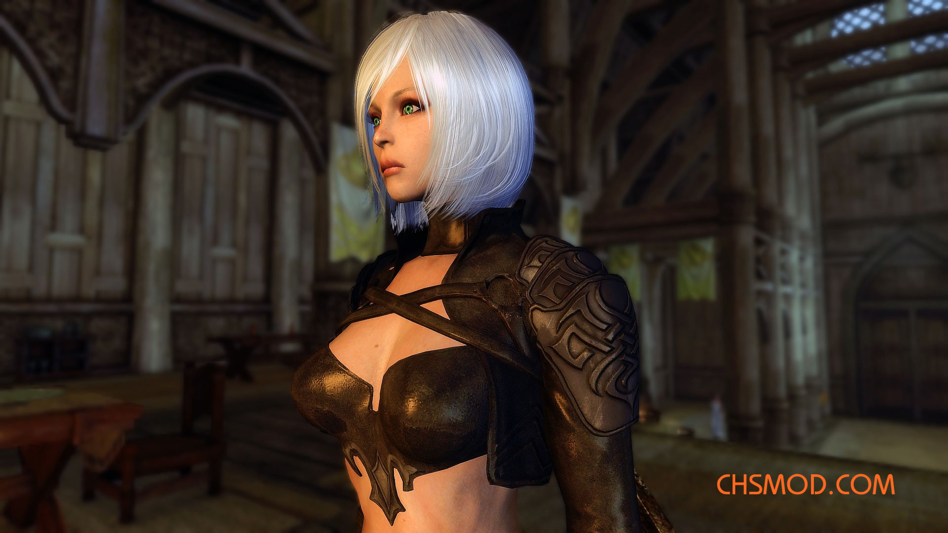 《上古卷轴5：天际重制版》卡特琳娜套装MOD